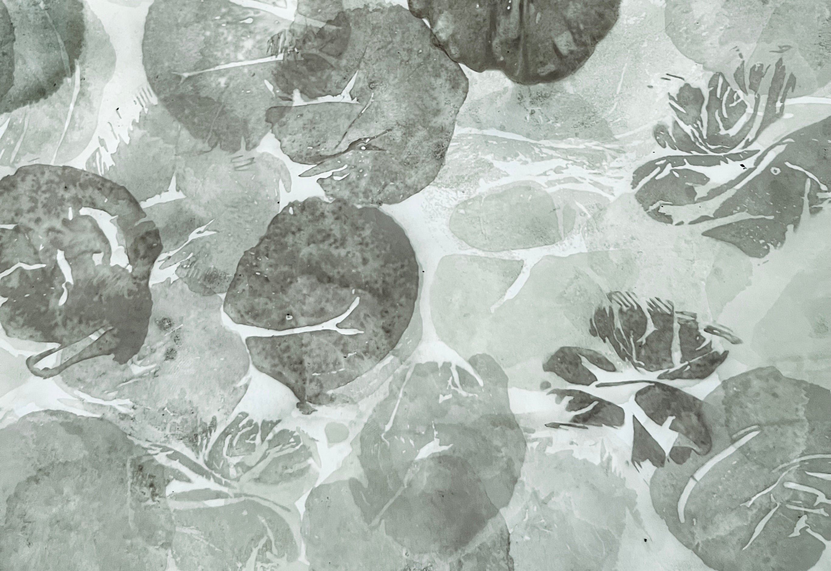 Elizabeth Taylor II – Verdant Whisper