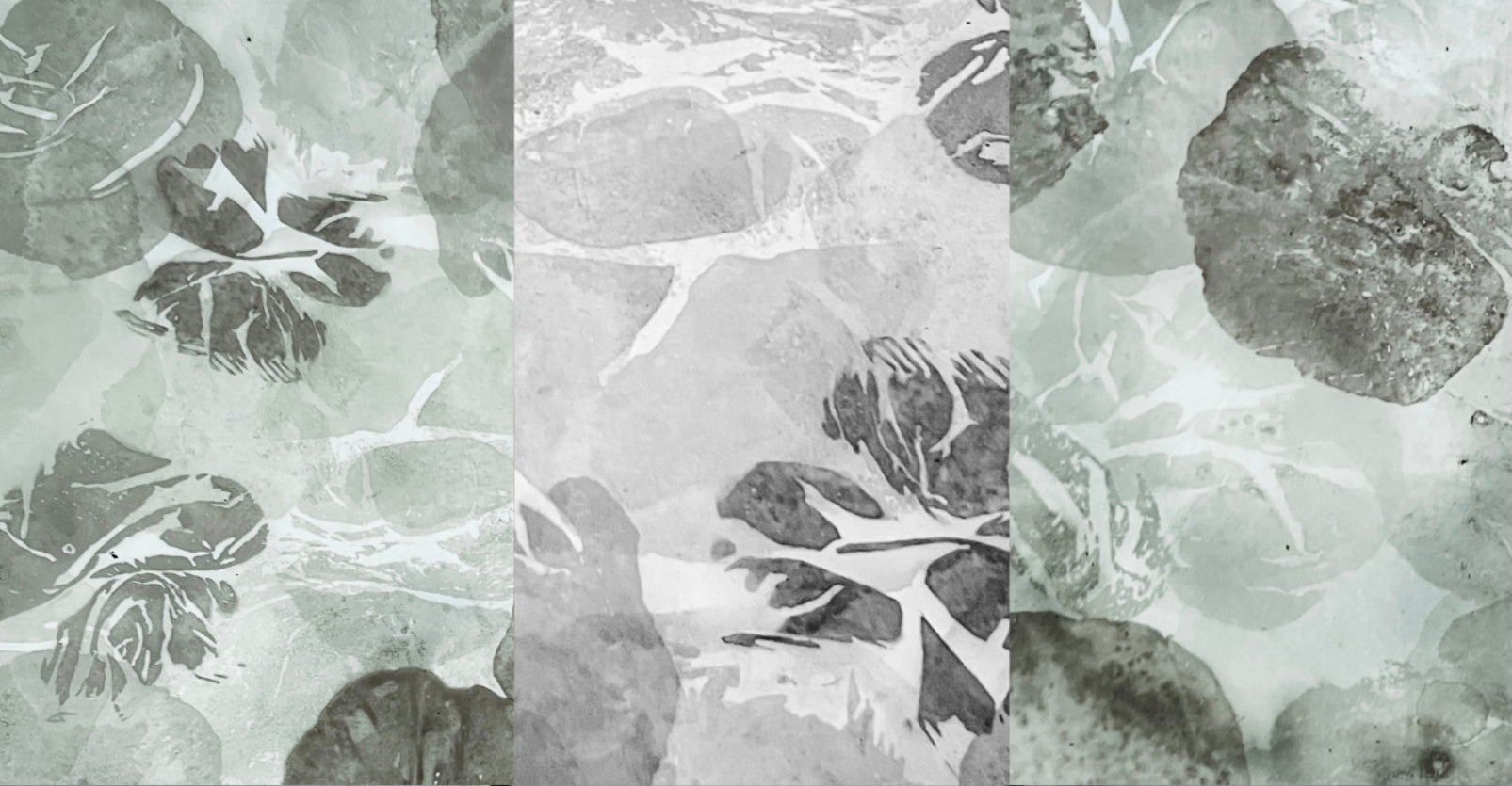 Elizabeth Taylor II – Verdant Whisper